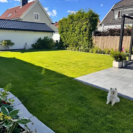 Apartamento I Bakklandet Med Parkering Og Hage *
